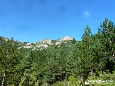 Hayedos Rioja Alavesa- Sierra Cantabria- Toloño;excursiones alrededores de madrid sierra de madrid 